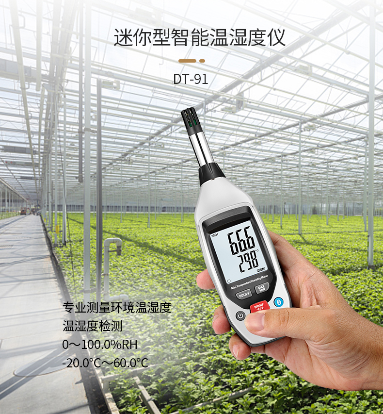DT-91迷你型智能温湿度仪